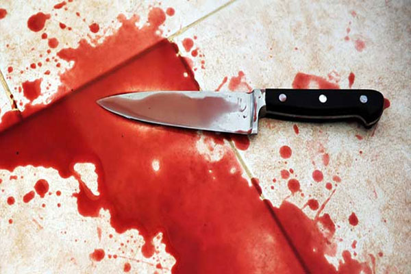 1556088618 murder from knife