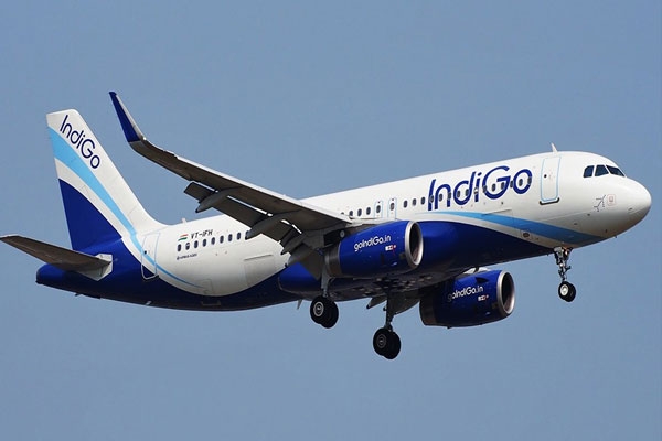 1556091849 indigo fly