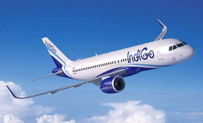 1556092216 indigo