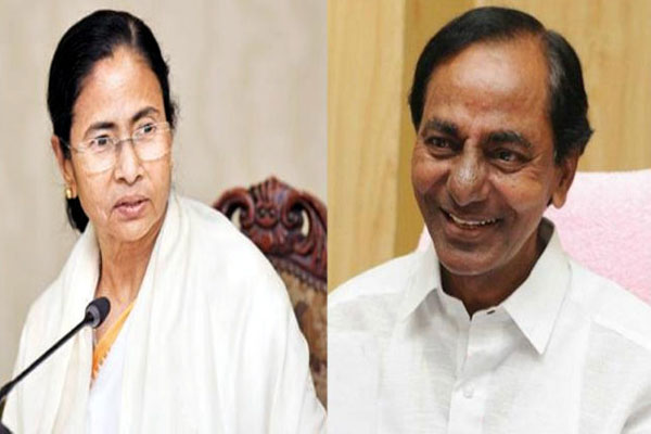 1556092462 mamta rao