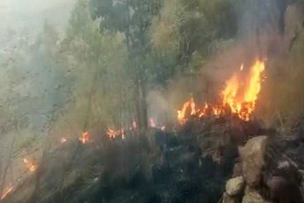 1556092481 fire