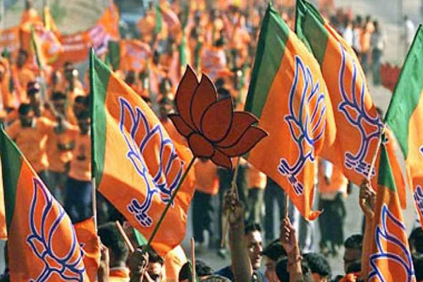 1556094356 bjp 1
