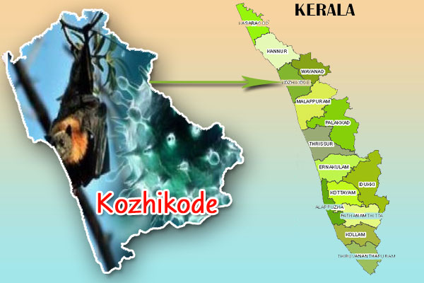 1556094397 kerla virus