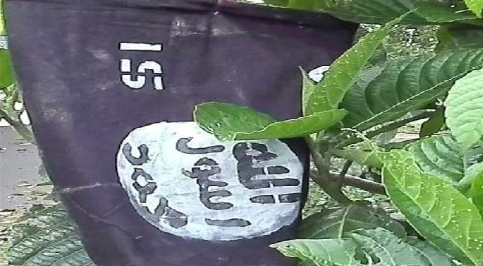 1556094476 is asam