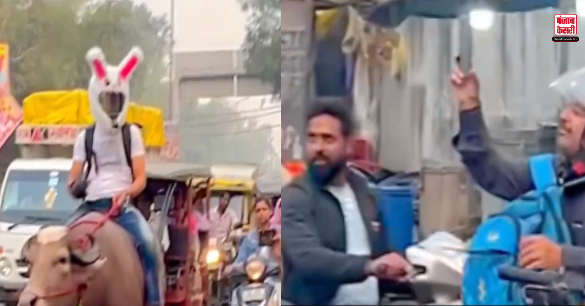 Buffalo After Petrol Become Expensive Video