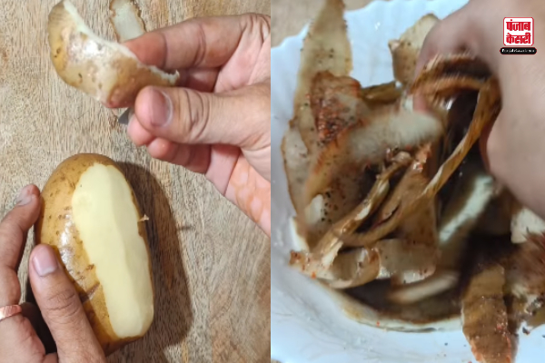 Potato Peels Dish