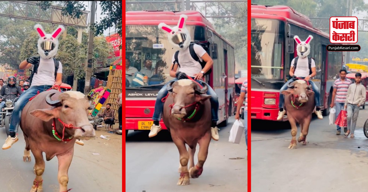 Desi Jugaad Viral Video