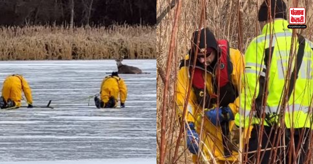 Firefighters Crawl To Rescue Crawl