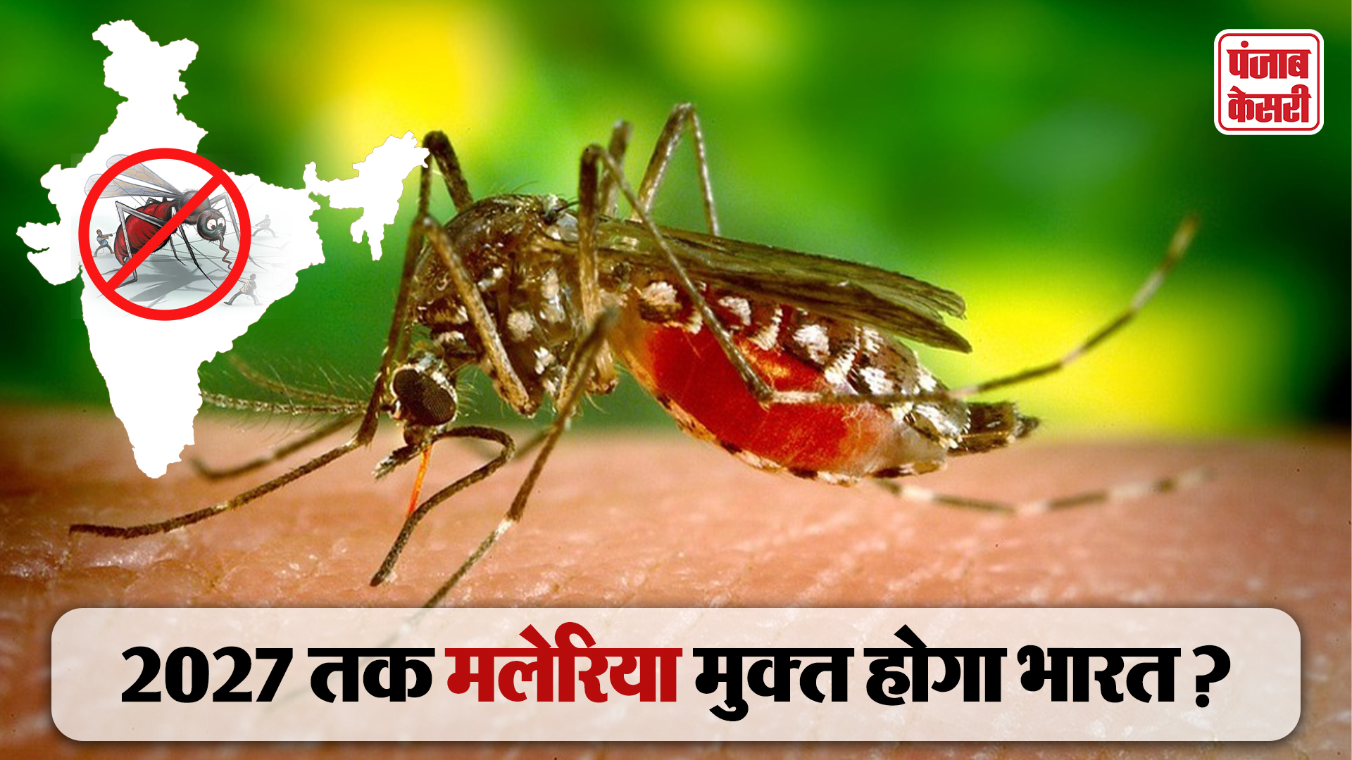 Malaria