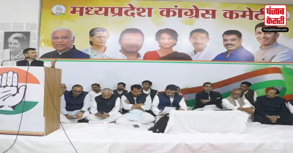 MP News