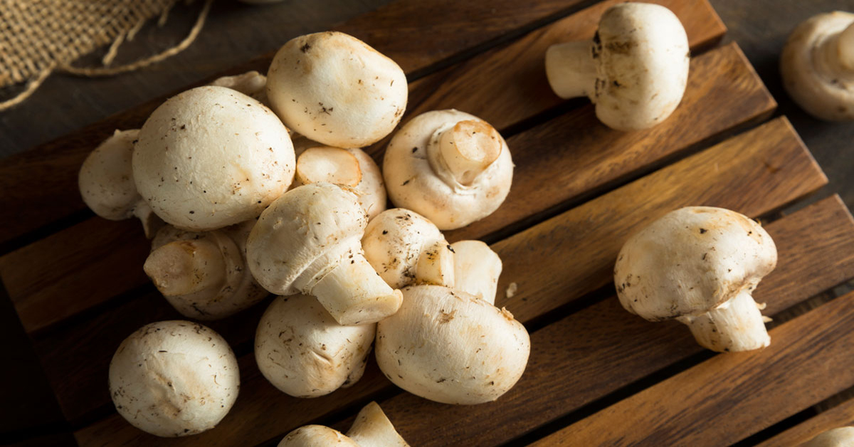 Mushrooms Benefits