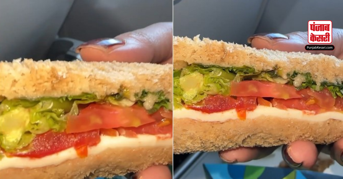 Worm in Sandwich