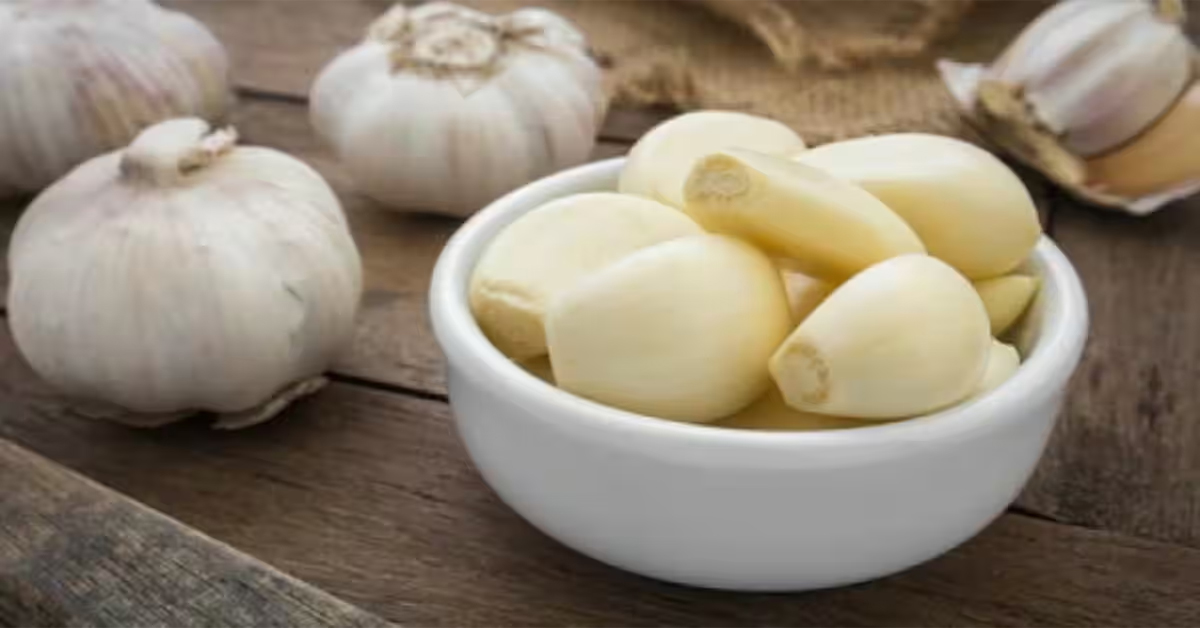 Garlic Benefits