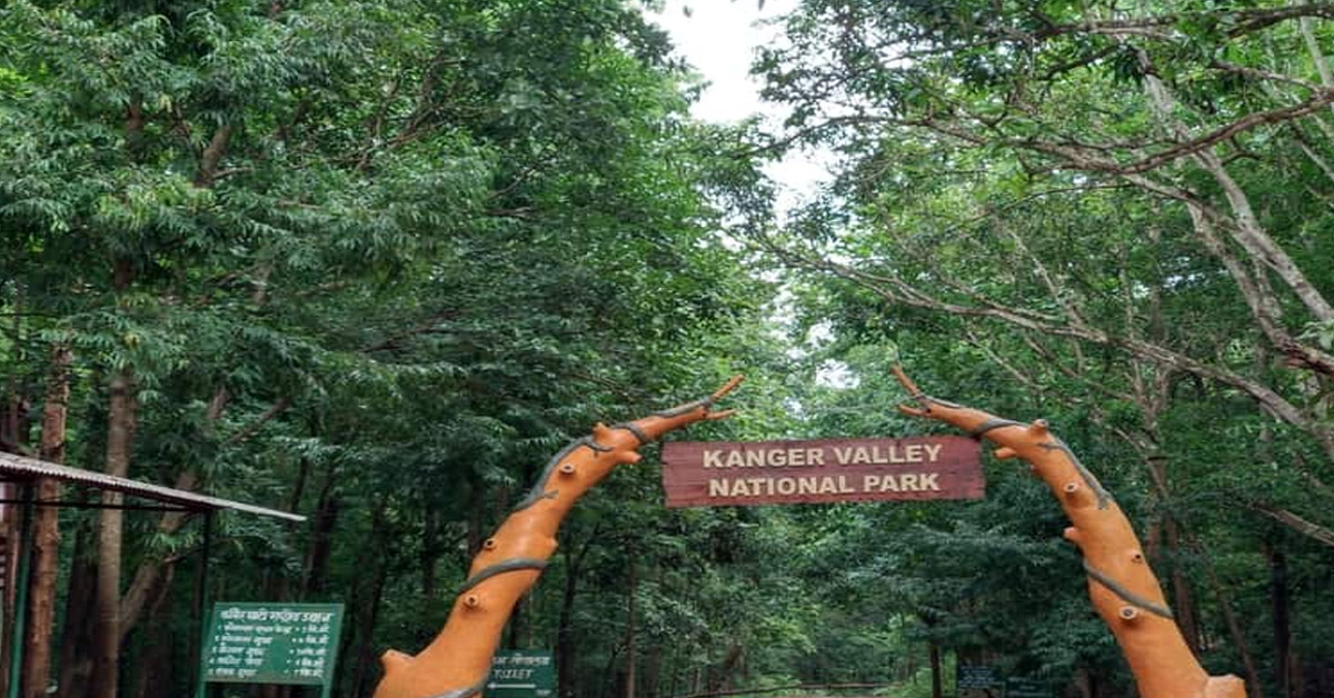 Chhattisgarh Bird survey