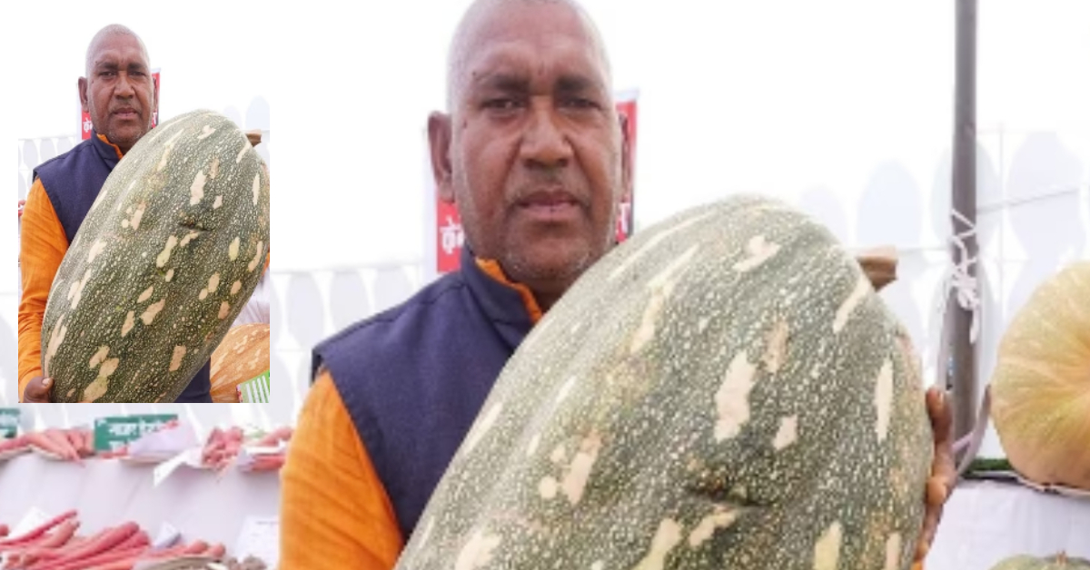 Lucknow Biggest Pumpkin