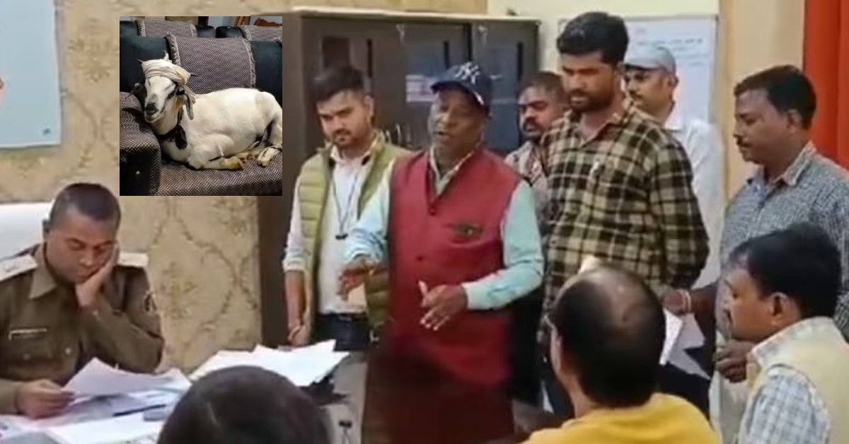 Chhattisgarh Bjp Leader 120 Kg Goat
