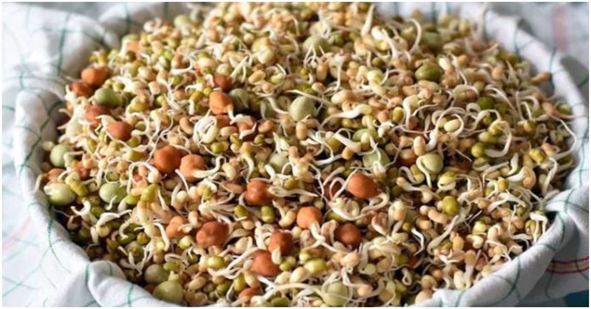 Benefits of Sprouts