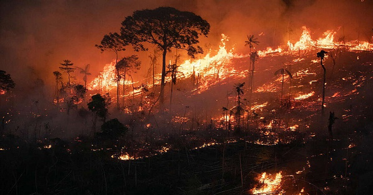 Chile Forest Fire