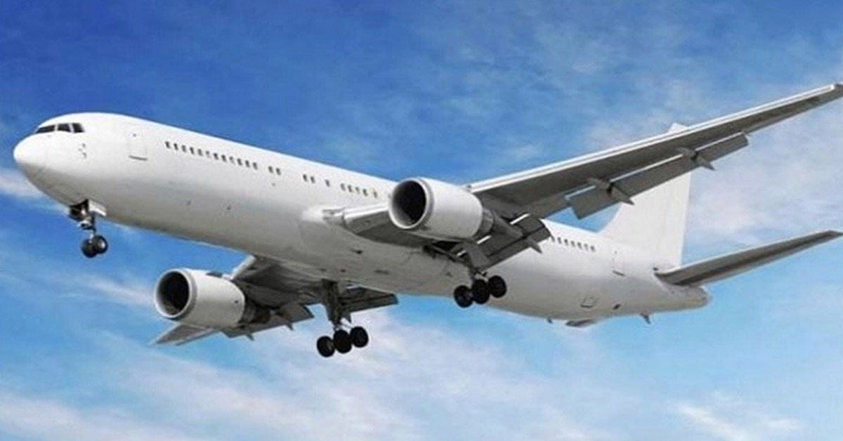 domestic air