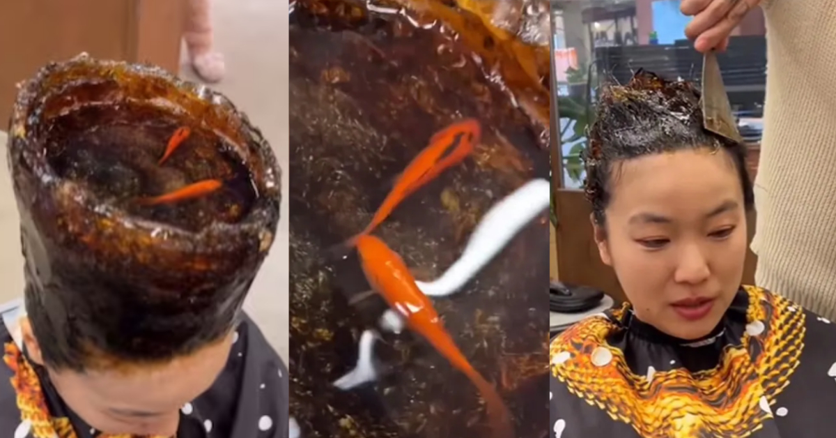 Viral Aquarium Hairstyle