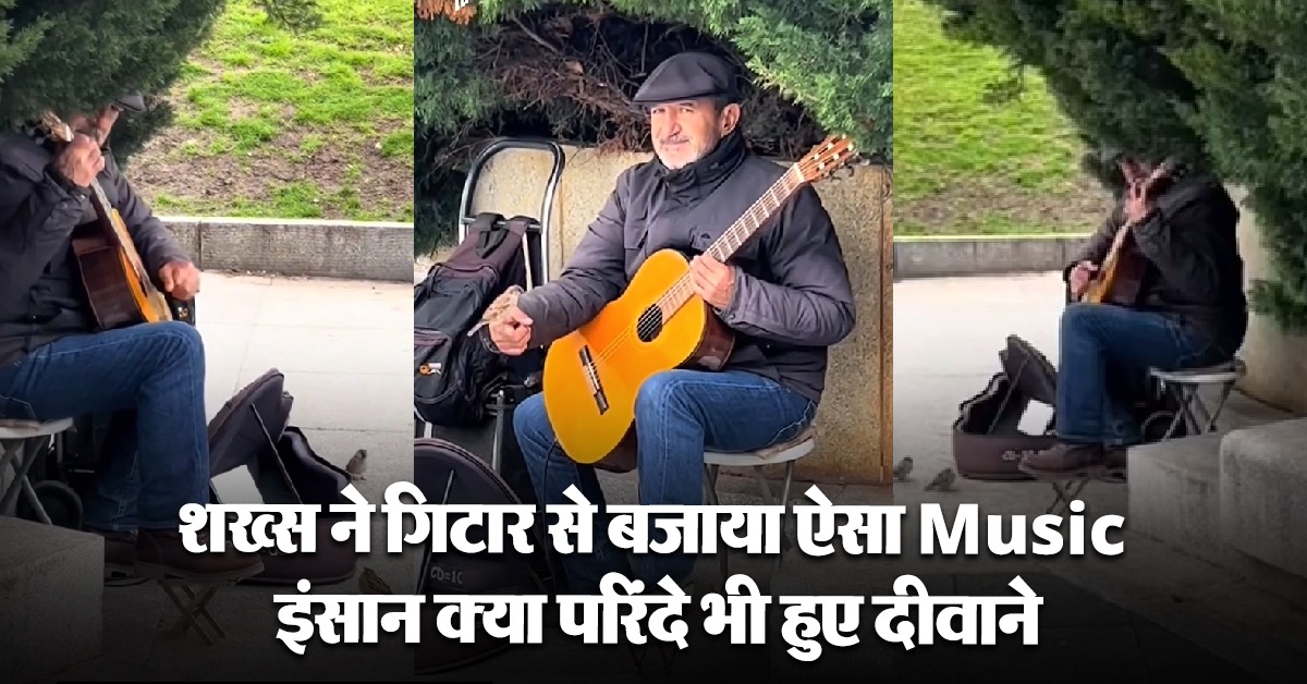 Man Play Music Guitar Bird