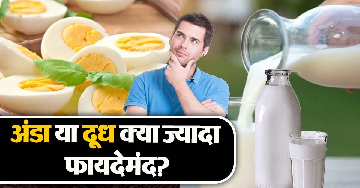 Egg Vs Milk Nutrition