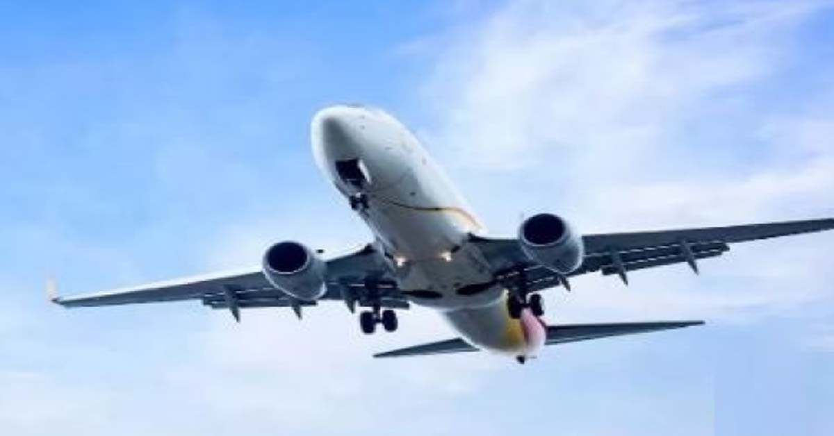 Domestic air passenger