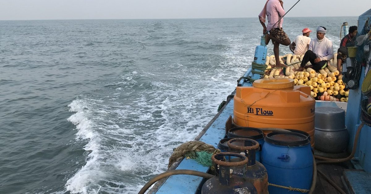 Sea Food Export
