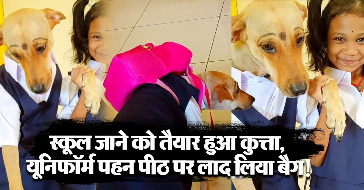 Viral Dog