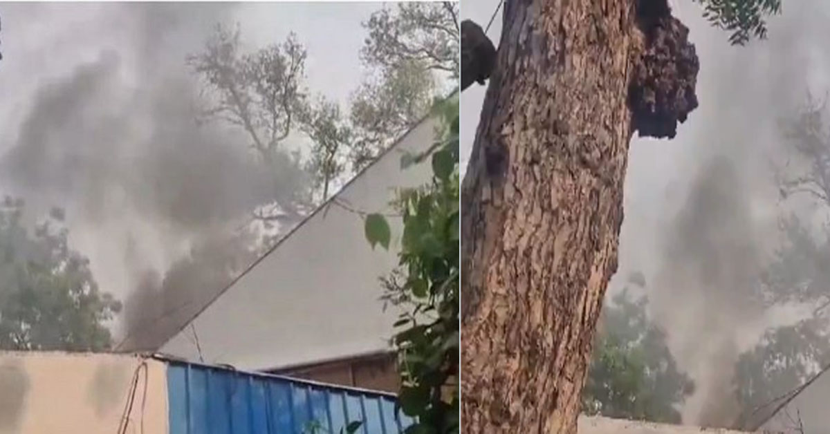 BJP Delhi Fire IncidentBJP Delhi Fire Incident