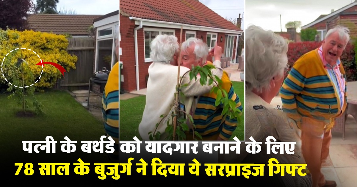 Viral Birthday Gift for Wife