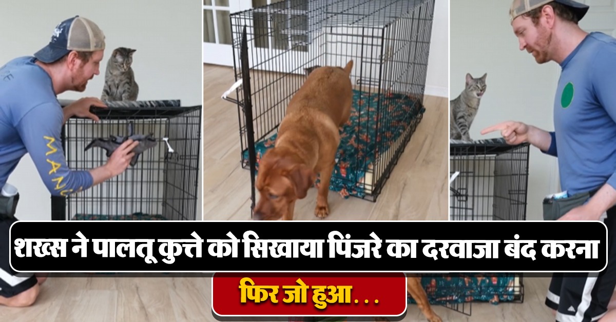 Viral hilarious video of cat and dog
