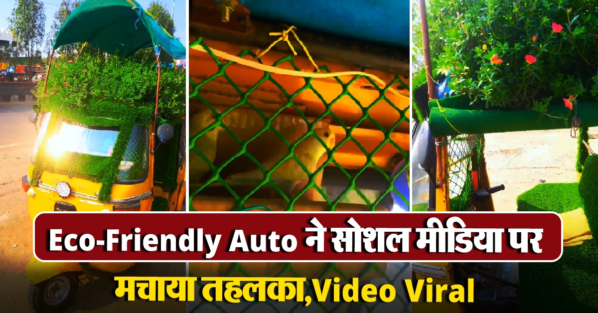 Eco Friendly Auto Rickshaw