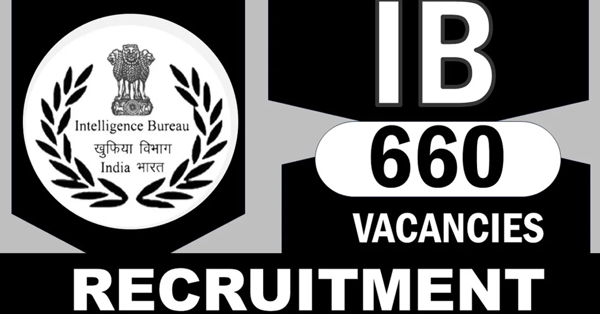 IB Jobs 2024