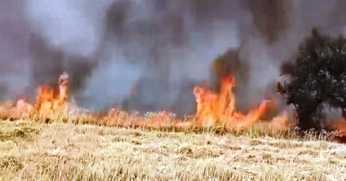 Punjab