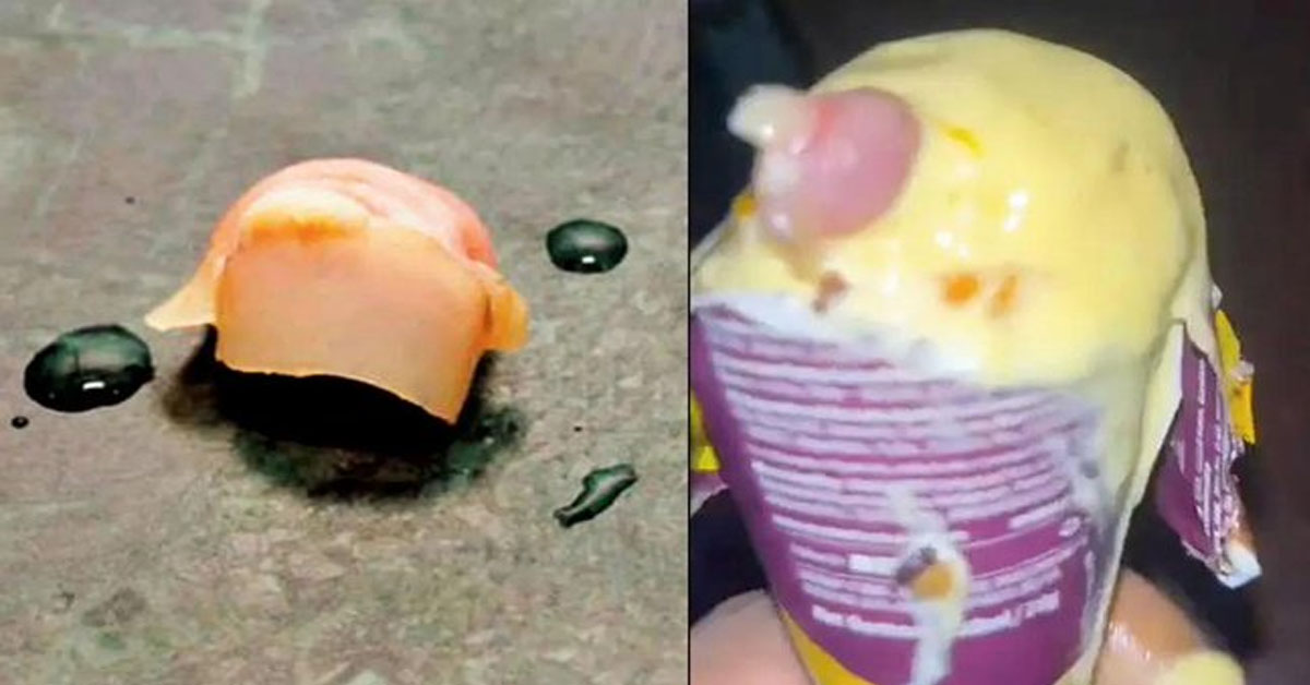 Mumbai Ice Cream Case