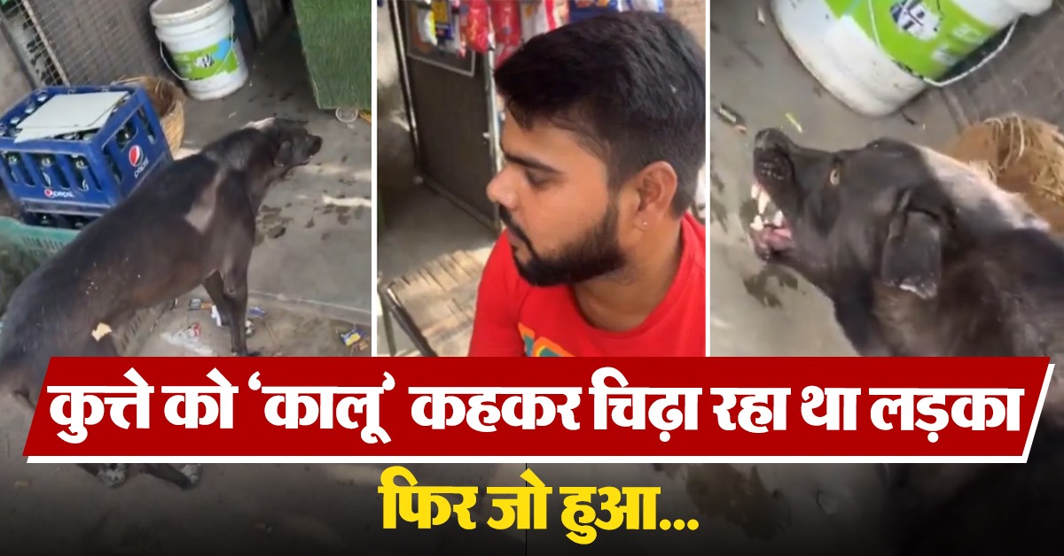 racist comment on dog kalu