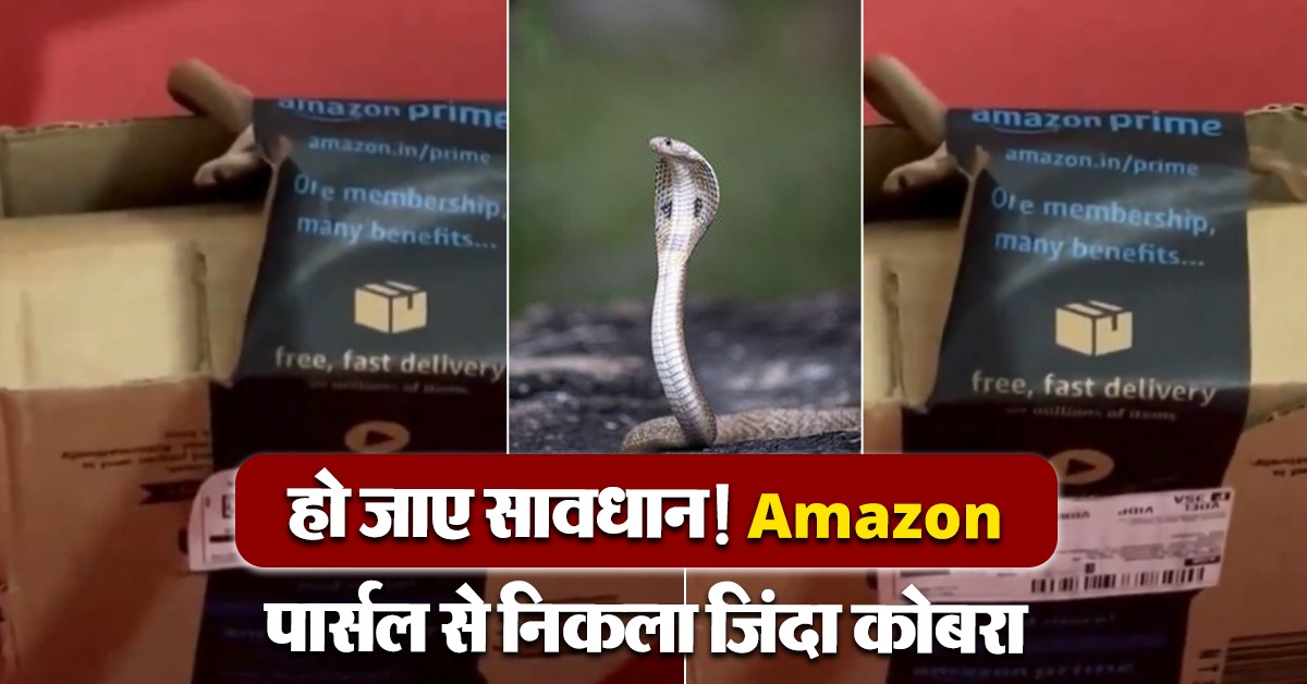 Cobra video viral