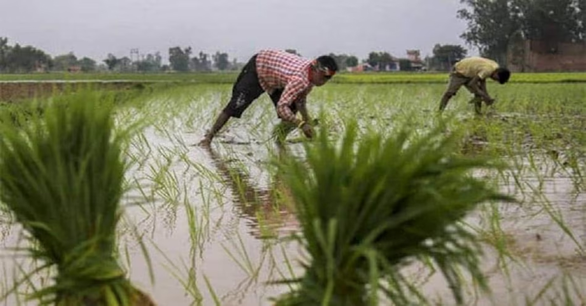 Karnal Weather