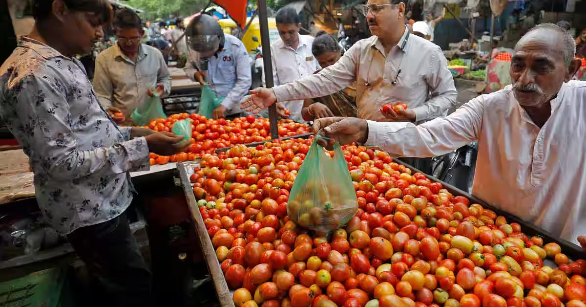 Tomato