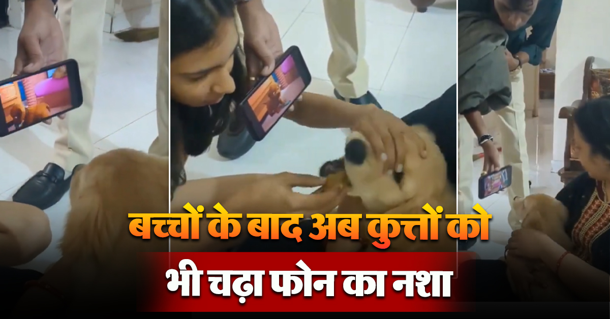 Dog Viral Video