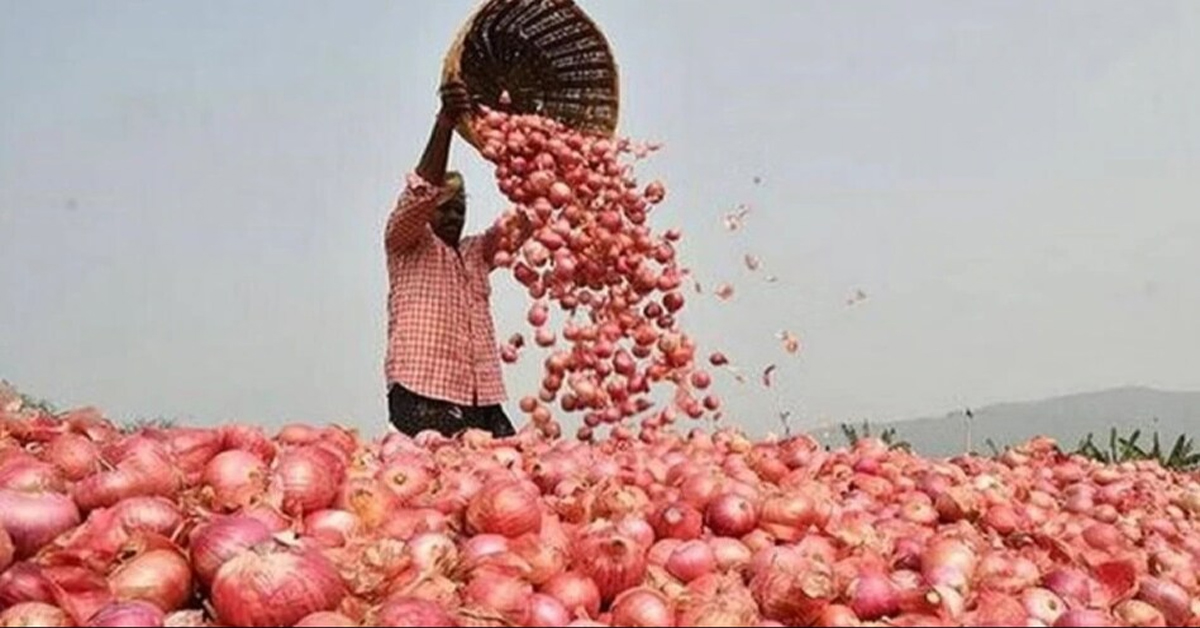 Onion Export