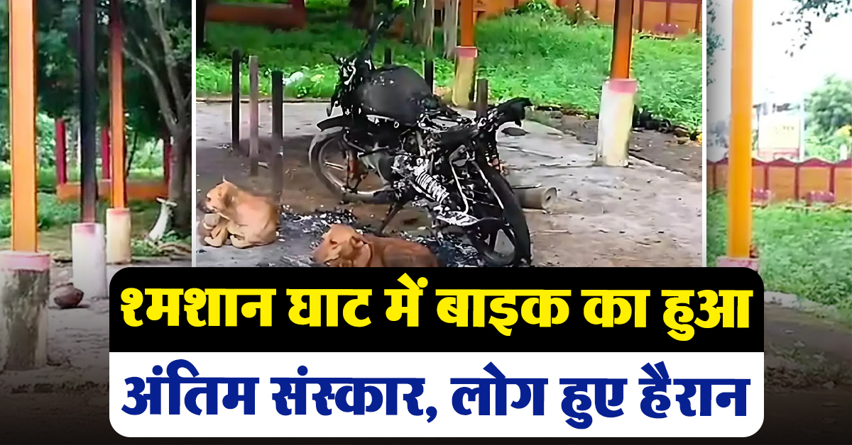 Madhya Pradesh News