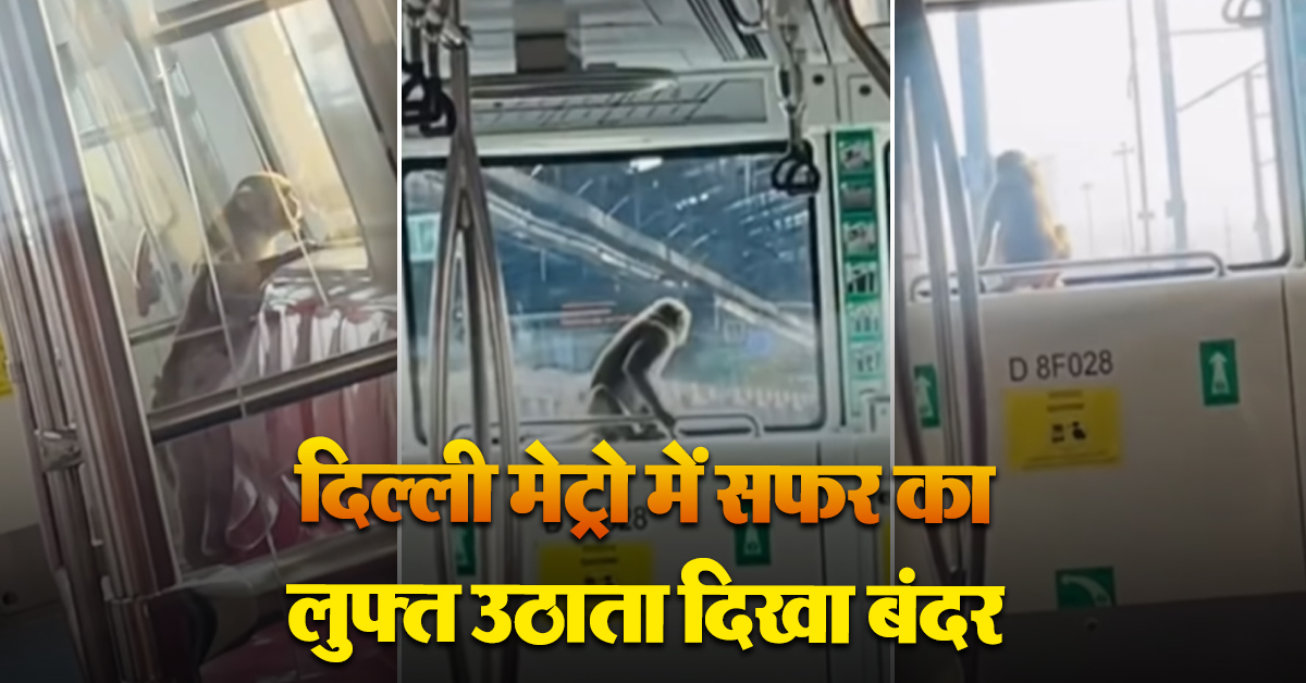 Monkey in Delhi Metro