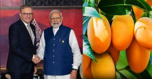 भारत, ऑस्ट्रेलिया और इजरायल मिलकर तैयार करेंगे आम की उपज, गुणवत्ता बढ़ाने का रोडमैप