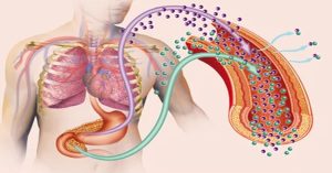 Insulin resistance से महिलाओं में समय से पहले मौत की आशंका : शोध
