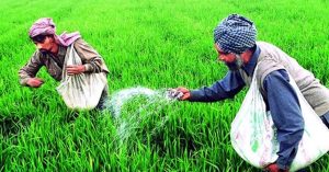 PM Aasha Scheme : किसानों को मिलेगी बड़ी राहत, केंद्र ने 2025-26 तक योजना को बढ़ाया