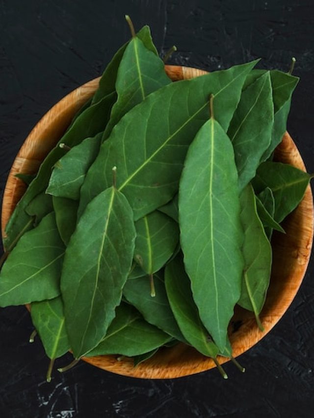curry leaves
