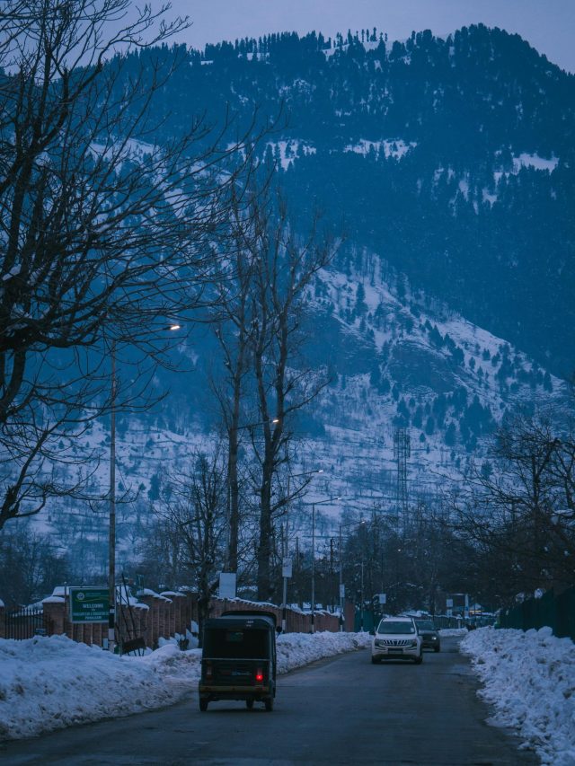 pexels-saqlain-ashraf-clicks-2425782-15404362