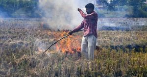 Punjab: सीजन से पहले पराली जलना शुरू, सामने आए 11 केस